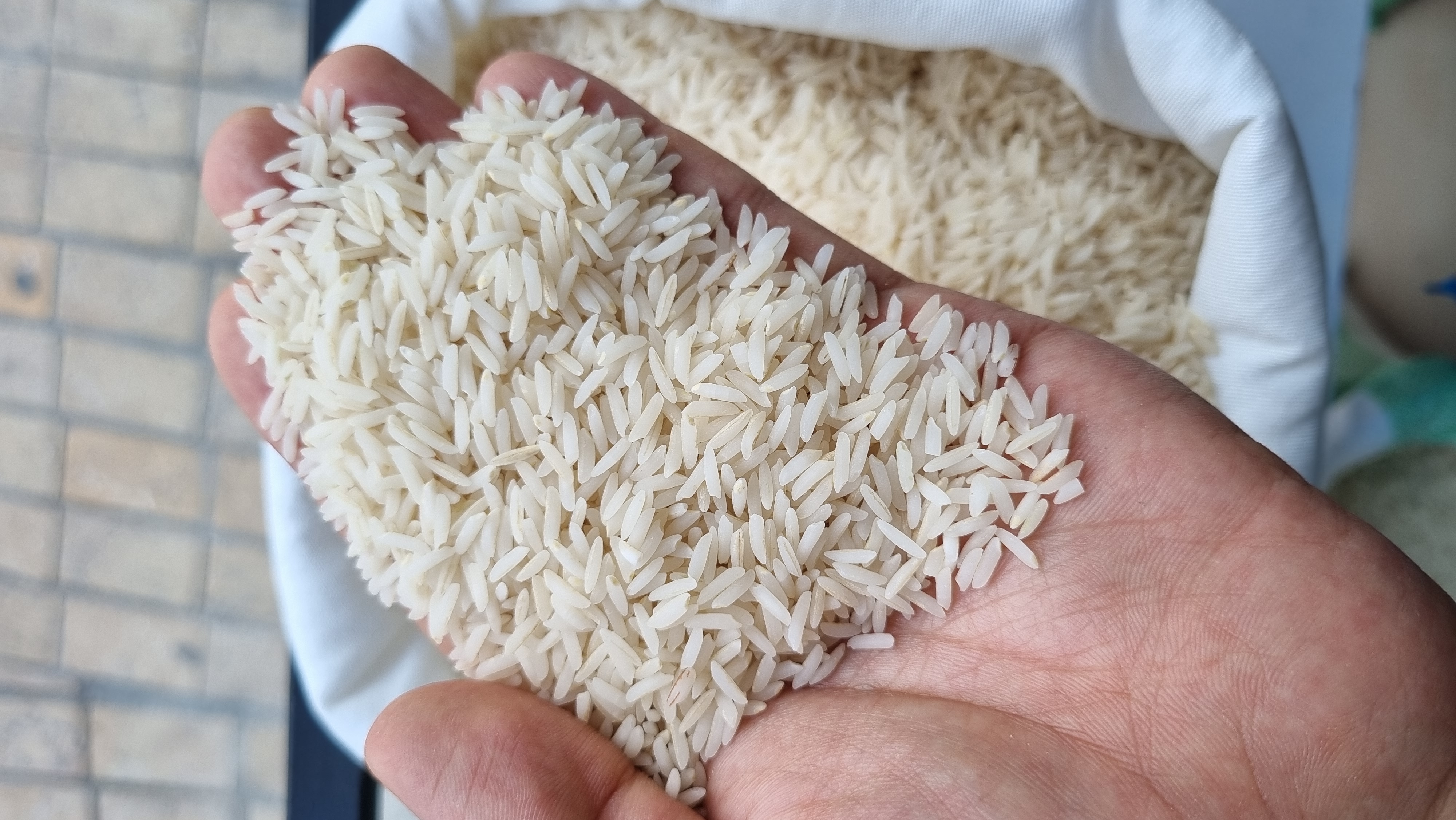 دانه های یکدست و سه الکه برنج طارم هاشمی بدون شکستگی و نیم دانه